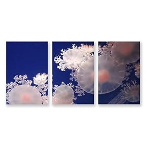 3 Panel Jellyfish in Deep Sea Pictures Home...