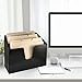 Acrimet Horizontal Triple File Folder Holder Organizer (Black Color)