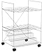 Safco Products Chrome Wire Roll File, 24 Compartment, Chrome