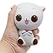 2 Pcs Jumbo Squishy Kawaii Cats, Sweet Scented Vent Charms Slow Rising Squishies Kawaii Kid Toy , Lovely Stress Relief Toy, Animals Gift Fun Large by Shellvcase