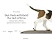Sky Mat, Comfort Anti Fatigue Mat, Perfect for Kitchens and Standing Desks, 20 x 39 x 3/4
