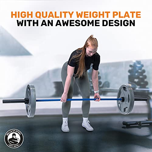 Bells of Steel Mighty Grip Olympic Cast Iron Weight Plates 2.1