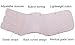 PAZ WEAN Abdominal Surgical Binder Wrap for Stomach Post Surgery Compression C section Postpartum Support Recovery after Hysterectomy Belly Band