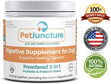 Best Probiotics for Dogs with Probiotic &amp; Prebiotic Blend from PetJuncture – Relieves Dog Diarrhea Bad Dog Breath Upset Stomach Hot Spots Constipation Gas - 110 Doses/Jar 50Mil CFU/gm-100%Natural