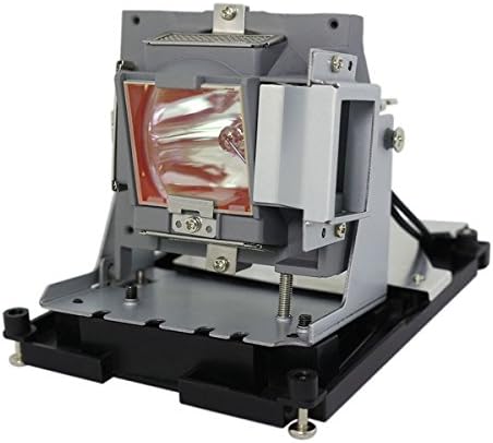 BL-FU310B 5811118436-SVV Replacement Projector Lamp with housing, Fits OPTOMA EH500 X600, by Mogobe
