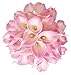 FRP Flowers 20 PCS Real Touch Calla Lily Latex Flowers for Artificial Floral Arrangements, Bridal Bouquets, and Home Decor (Pink)