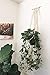 Mkono Macrame Plant Hanger Indoor Wall Hanging Planter Basket Long Flower Pot Holder Boho Home Decor, 46 Inch