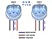 Xentec 55W Standard Size Ballasts x 2 bundle with 2 x Xenon Bulb 9007/9004/HB5 Hi/Lo 6000K w/Hi-beam Halogen (Ultra White) offroad