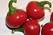 PEPPER, RED SWEET CHERRY PEPPER SEED, ORGANIC, NON-GMO, 20 SEEDS PER PACKAGE, Sweet Red Cherry peppers earn their name from the small, cherry-shaped fruit