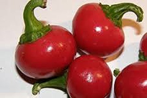 PEPPER, RED SWEET CHERRY PEPPER SEED, ORGANIC, NON-GMO, 20 SEEDS PER PACKAGE, Sweet Red Cherry peppers earn their name from the small, cherry-shaped fruit PEPPER, RED SWEET CHERRY PEPPER SEED, ORGANIC, NON-GMO, 20 SEEDS PER PACKAGE, Sweet Red Cherry peppers earn their name from the small, cherry-shaped fruit
