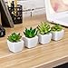 MyGift Decorative Indoor Fake Plants, Assorted Artificial Succulents in White Ceramic Planter Pots, Set of 4