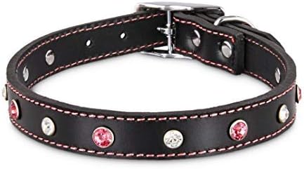 PUMEK Dog Collar for Small to Large Dogsa9