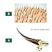3 PCS Ginger Hair Germinal Essential Oil 30ml by alkcam