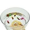 BLISSWILL-Fly-Fishing-Dry-Flies-Kit-Floating-Assortment-Fishing-Lure-with-Holder-32Pcs