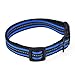 Mile High Life Night Reflective Double Bands Nylon Dog Collar