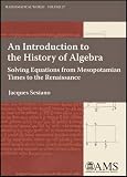 An Introduction to the History of Algebra: Solving Equations from Mesopotamian Times to the Renaissa by 