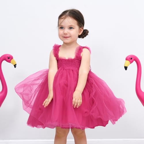 Miipat Dresses for Babies Girls Butterfly Tulle Sleeveless Little Girl Princess Dress Birthday Party Wedding Flowers Girl Dress