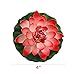 Peach - Floating Water Lotus - Pond Decor Water Lily Foam Flower Artificial Pond Plants 4 Pcs