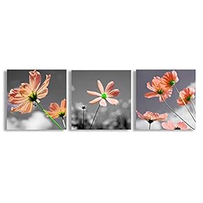 Canvas Wall Art Beautiful Flowers Collage...