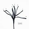 EMMAKITES-100-Braided-Kevlar-String-Tensile-Option-High-Tensile-for-Outdoor-Activities-Tactical-Survival-and-other-General-Purpose