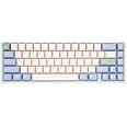 Varmilo Minilo VXB67 Eucalyptus 65% Bluetooth White LED Mechanical Keyboard Varmilo EC Rose V2