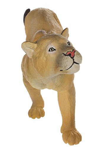 Wildlife Wonders: Puma concolor