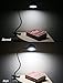 Eazyclips LED Clip on Desk Lamp - Versatile Table Light - Two Brightness Levels