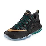 Nike Men's Lebron XII Low Basketball Shoe