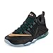 Nike Men's Lebron XII Low Basketball Shoe
