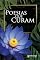 Livro Poesias Que Curam