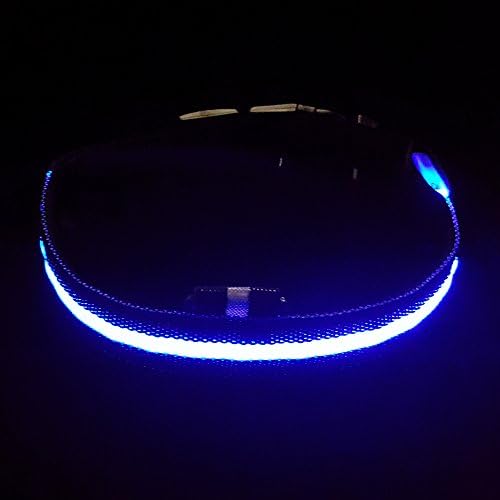 LED Dog Collar with 3 Variable Light Speeds - USB Rechargeable - Great Fun &amp; Better Dog Visibility By Broman