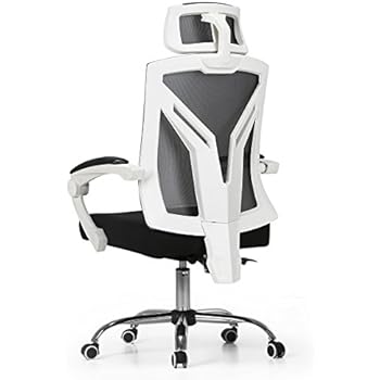 Amazon.com : Hbada Ergonomic Office Chair - Modern High ...