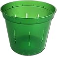 rePotme 6 inch Orchid Pot 3 Pack - Slotted Orchid Pots with Holes for Repotting (Green Emerald)