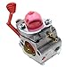 Carbhub WT-875 Carburetor for Craftsman Poulan Pro Blower BVM200C BVM200VS P200C GBV325 P325 with Fuel Line Filter Gasket Spark Plug Replace 545081855 WT-875 WT-875A