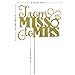 Shxstore Gold Mr Mrs Cake Topper Diamond Ring Cupcake Picks For Wedding Bridal Shower Engagement Decorations Supplies, 23 Counts