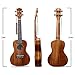 Deviser Concert 23inch professional ukulele Solid Koa Top Koa back & side with Gig Bag & Aquila String & Digital Tuner & Strap & Polishing Cloth
