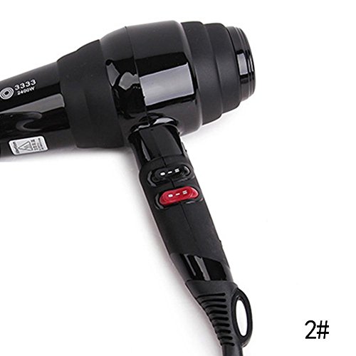 Gracefulvara Ionic Hair Dryer with Nozzle Diffuser