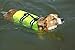 Paws Aboard Dog Life Jacket - Keep Your Canine Safe with a Neoprene Life Vest for Swimming and Boating - Available in Different Sizes, Color and Design to Choose - Neon Yellow, Small