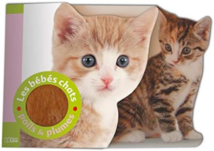 Poils Plumes Les Bebes Chats Amazon Com Books