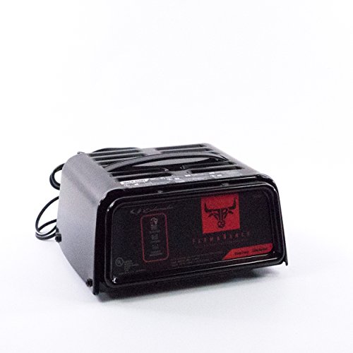 Schumacher FR01236 2/6A 6/12V DOE Automatic Battery Charger and Maintainer