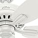 Hunter Fan Company, 53322, 52 inch Newsome Fresh White Indoor / Outdoor Ceiling Fan and Pull Chain