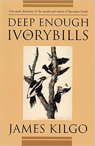 Deep Enough For Ivorybills Brown Thrasher Books Kilgo James 9780820317601 Amazon Com Books