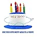 Novelty Place Blue Plush Happy Birthday Cake Hat - Unisex Adult Size Fancy Dress Party Hats - Perfect as Party Favors, Costume Accessories - Cake & 5 Multicolor Candles