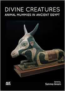 Amazon Com Divine Creatures Animal Mummies In Ancient