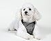 Comfortable & Adjustable Dog Harness by PetPup | Medium Size - Gray Color | Reflective | Safety Car Harness for Dogs | Easy Walk Dog Harness | Lightweight & Breathable Safety Strap Harness for Dogs