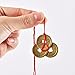 Pangda 5 Sets Chinese Coins Fortune Coin Feng Shui Coins Lucky Coins I-Ching Coins with Red String