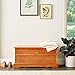 Coaster Home Furnishings - Paula - Wood - Cedar Chest with Storage Trunk, Rectangular Shape and Traditional Style - Bedroom - 40-Inch - Honey - 4695
