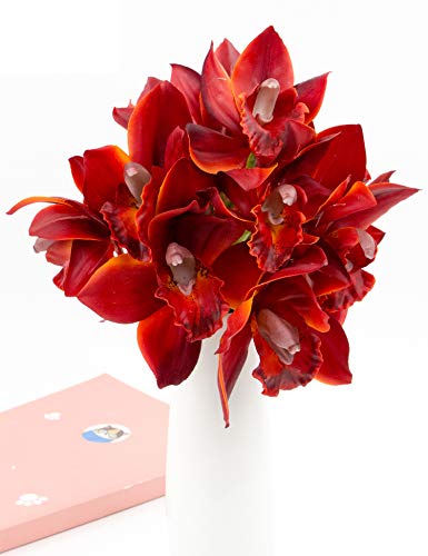 Rinlong Artificial Orchid Flowers Stems Burgundy Red 3pcs Fake Cymbidium Stems for DIY Craft Floral Arrangement Home Wedding Decoration