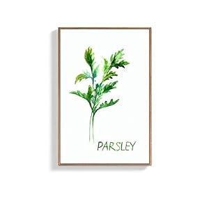 Framed Canvas Wall Art for Living Room, Bedroom Parsley Canvas Prints for Home Decoration Ready to Hang - 16x24 inches