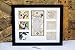 Pet Memorial Collage Frame for Dog or Cat with Sympathy Pawprints Left by You Poem - Made in the USA